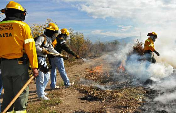 Defensa Civil sofocó incendios en 55 hectáreas de la provincia