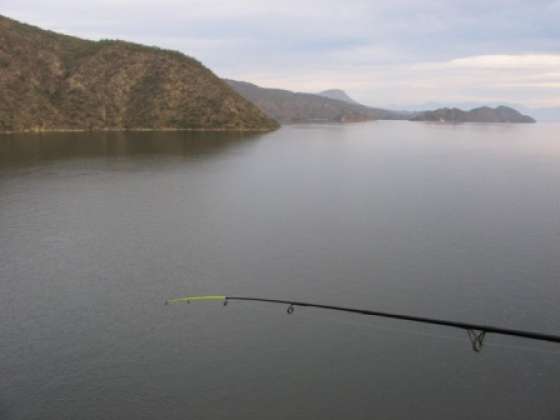 Veda en zona norte y sur del embalse Cabra Corral