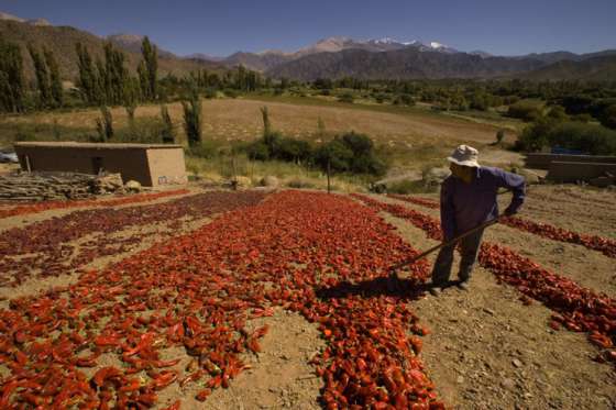 Se lanza hoy la 39° Fiesta Provincial del Pimiento