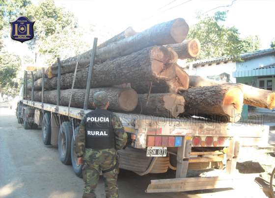 Secuestraron en el norte madera sin documentación