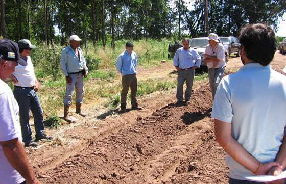 Productores hortícolas se capacitaron sobre fertirrigación