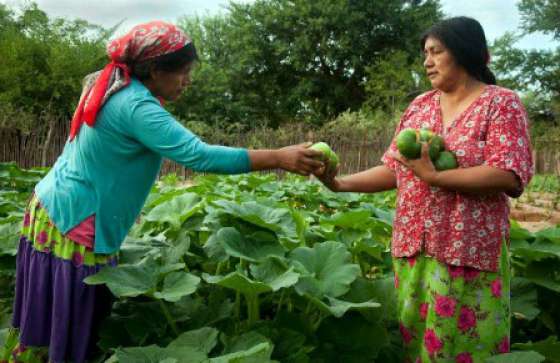 Comunidades aborígenes de Ballivián contarán con agua potable