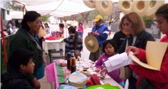 Pueblos Originarios participó de una feria pluricultural en Orán