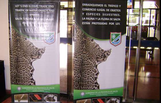 Campaña para erradicar el tráfico de especies silvestres