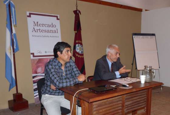 Salta realizará un relevamiento de vicuñas en 2013