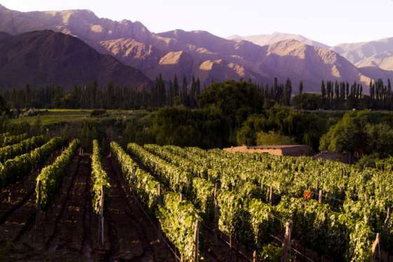 Salta colabora con la misión francesa de cooperación a Cafayate