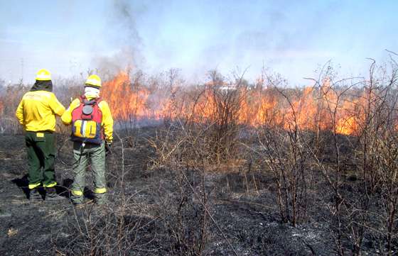 Trabajan hoy en barrios de San Luis para evitar incendio de pastizales