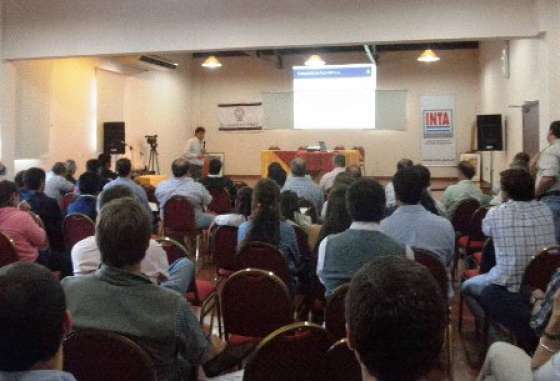 Producirán en Salta bioetanol a base de maíz
