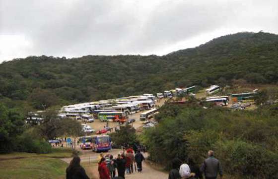 Reforestarán zonas del predio de la Virgen del Cerro