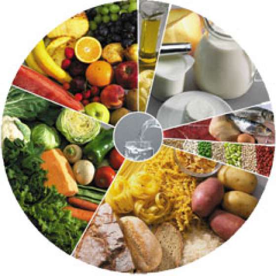 Presentaron proyectos productivos sobre alimentación saludable