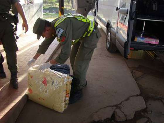 Este año ya se realizaron más de 1.500 operativos antidrogas en Salta