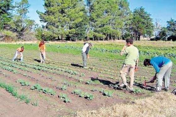 Casi $14 millones para mejoras institucionales en escuelas técnicas de Salta