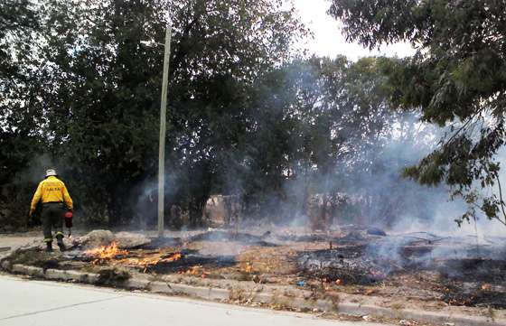Defensa Civil y vecinos de Los Ceibos I y II recuperaron espacios verdes