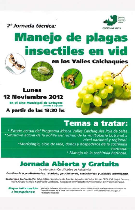 Segunda jornada sobre manejo de plagas insectiles en vid