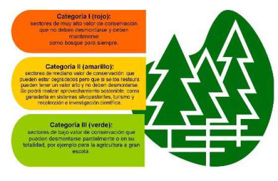 Salta expondrá desde hoy la ley de Bosques Nativas en una jornada regional