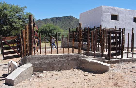 Inauguraron en Seclantás el primer matadero para rumiantes pequeños