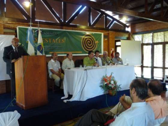 En las jornadas Forestales del NOA, Ambiente presentó un balance de la implementación de la Ley de Bosques