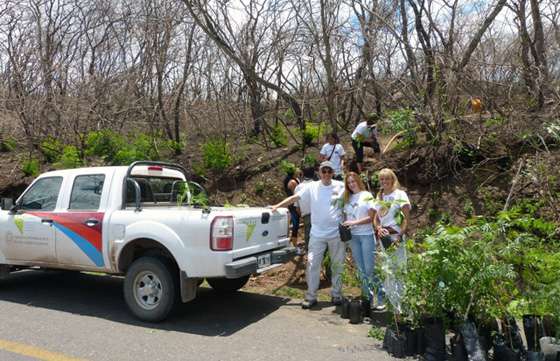 Más de mil árboles se plantaron en el cerro San Bernardo