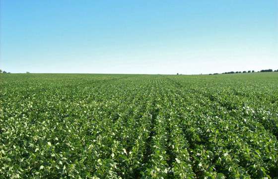 Crecieron las exportaciones de manufacturas de origen industrial y agropecuario