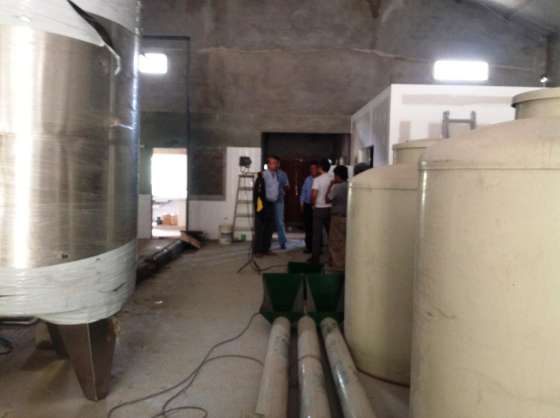 Buscan incrementar la producción de aceite de nuez mediante industrialización