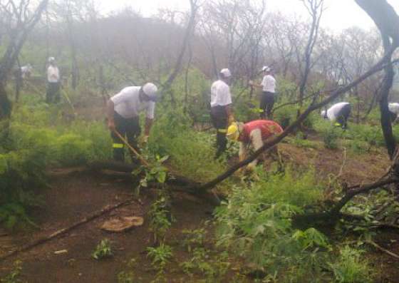 Finalizó la forestación en el cerro San Bernardo