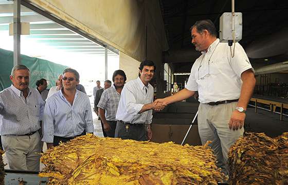 La Provincia brinda un nuevo apoyo al sector tabacalero