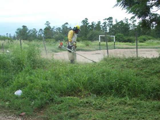 Defensa Civil realizó tareas de desmalezamiento en General Güemes