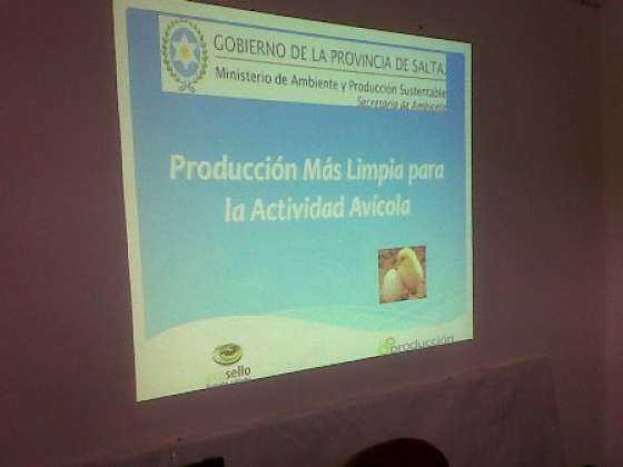 Capacitan en Producción más Limpia al Sector avícola de Campo Quijano