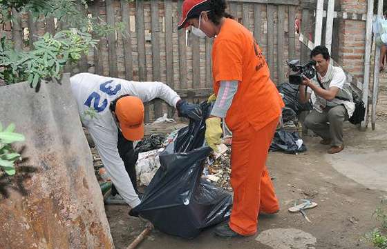 Intensa actividad para evitar la propagación del dengue