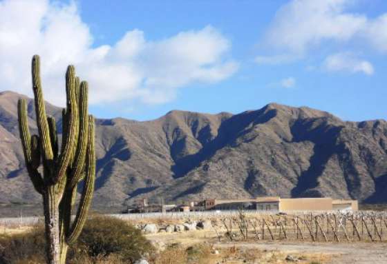 En Cafayate se inaugurará oficialmente la bodega Piatelli