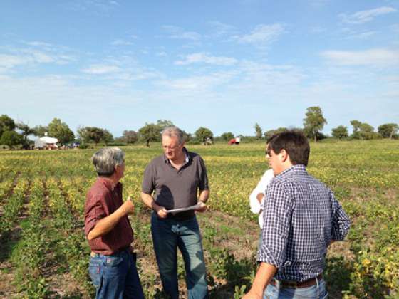 La sequía afecta al Departamento Anta