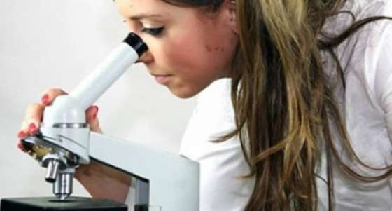 Actividades escolares por el Día del Investigador Científico