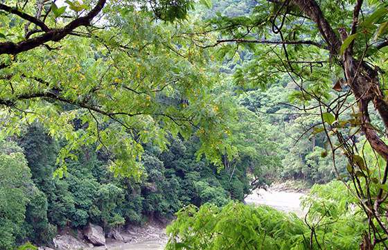 Se festejó en todo el mundo el Día de la Tierra