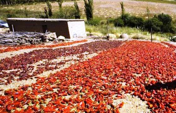 El secadero de Cachi fue sede de la mesa provincial de Pimiento para Pimentón