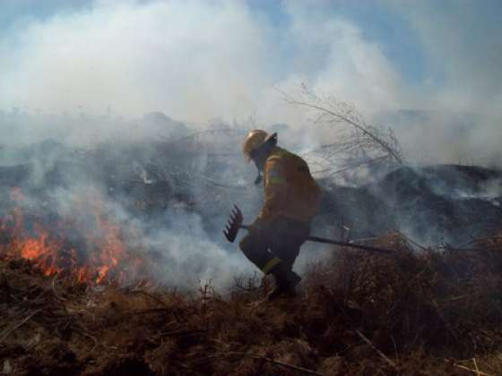 Se conmemora el Día Internacional del Combatiente de Incendios Forestales