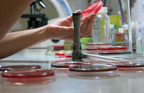 Certificación de Calidad para Laboratorio del Materno Infantil