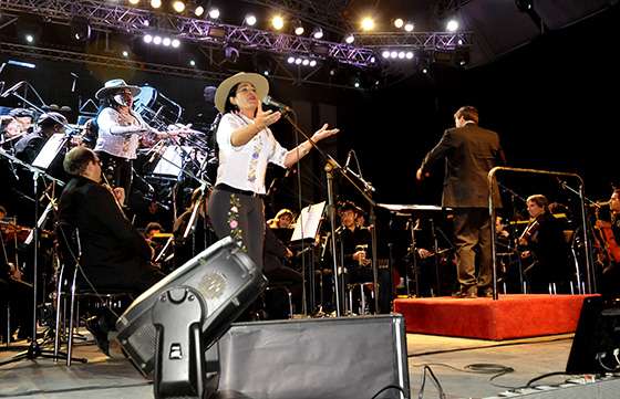 Salta homenajeó al General Güemes en el Festival de la Patria Grande