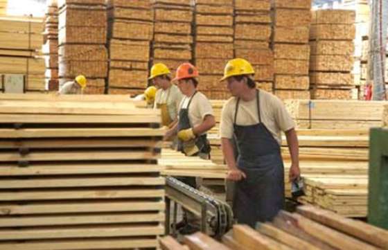 Convocan a empresarios del sector maderero a la reunión de la Mesa Foresto Industrial de Salta