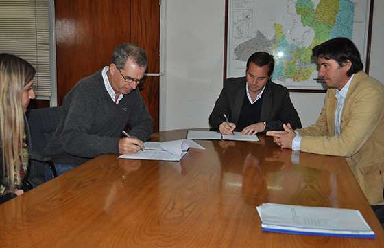 Promueven mejoras genéticas para la producción bananera en la provincia