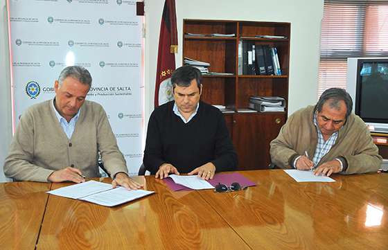 Destinarán fondos para la restauración forestal