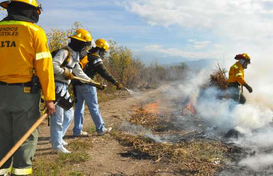 Brigadistas de Defensa Civil sofocaron incendios en distintos puntos de la capital