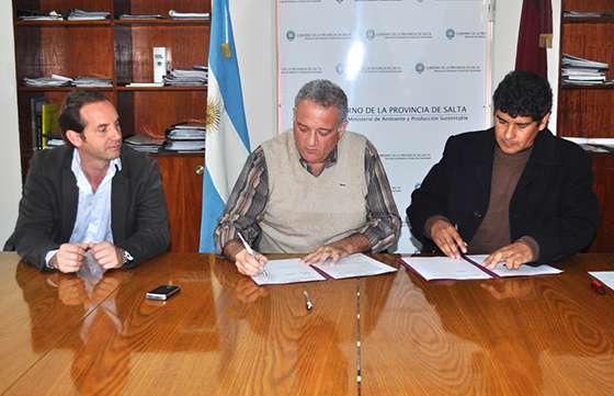 Asistencia económica al municipio de San Carlos destinada a pequeños productores agrícolas