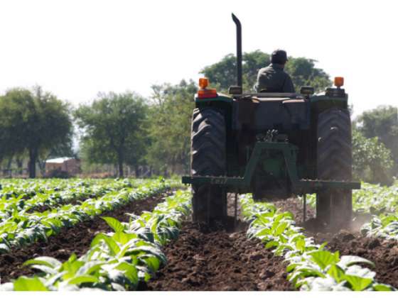 Finaliza hoy el pago del Programa Intercosecha