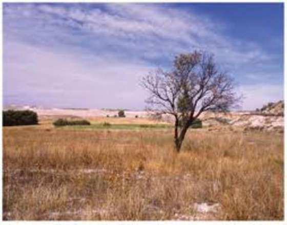 Trabajadores afectados por la sequía comenzarán a cobrar subsidios