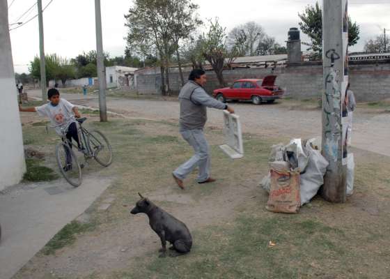 Se realizan tareas de descacharrado en la ciudad y municipios del interior