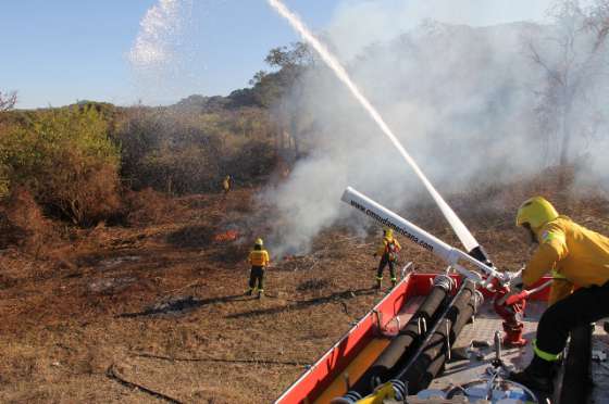 Brigadistas trabajan en la provincia para evitar incendios forestales