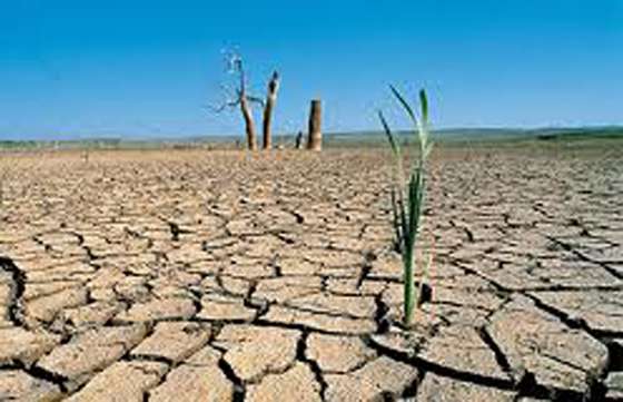 Sigue el pago de subsidios a trabajadores afectados por la sequía