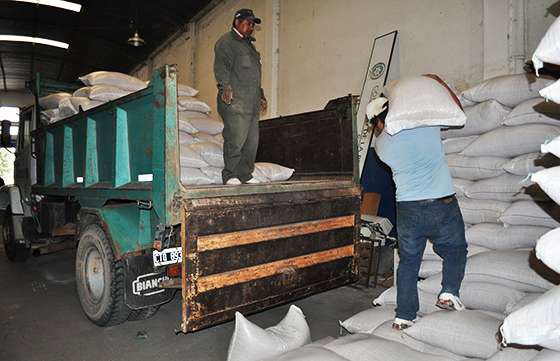 Entregan maíz a pequeños productores afectados por el clima