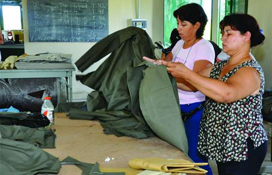 Salta tiene la tasa más alta en actividad y empleo de la región