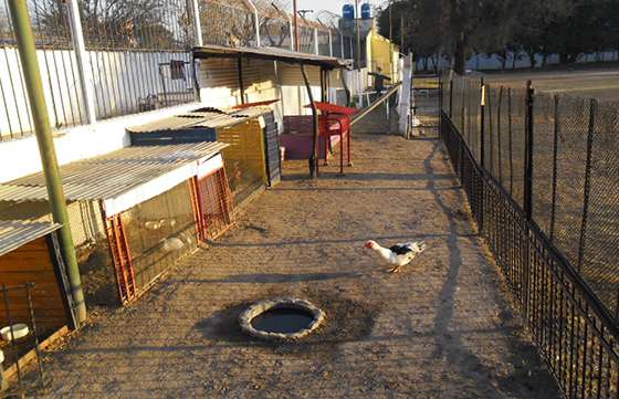 Se habilitó una granja Agroecológica en el Centro de Tratamiento del Servicio Penitenciario